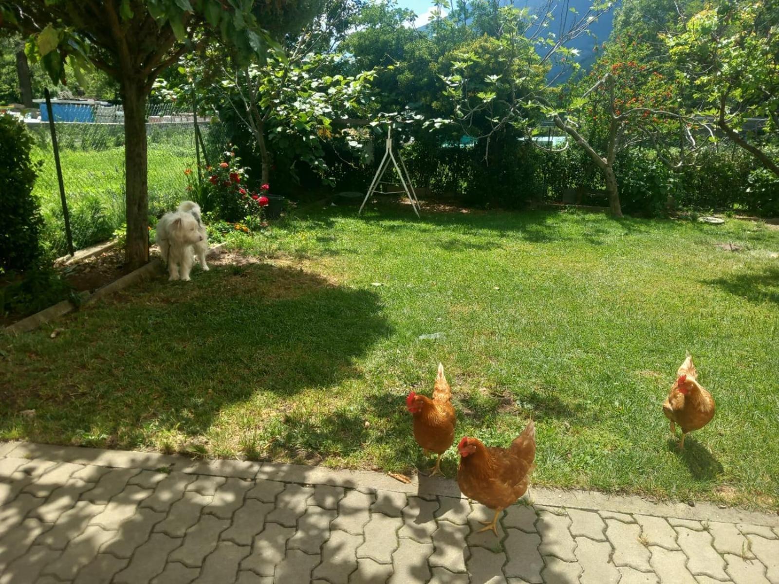 Casa Sergio กรอซิโอ ภายนอก รูปภาพ
